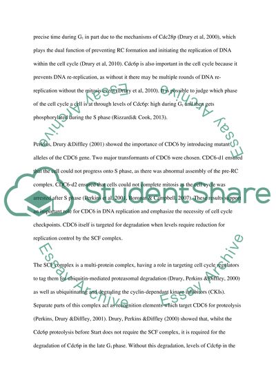 Introduction about cell cycle by emphasizing DNA replication