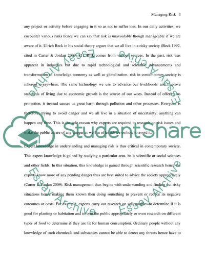 Challenges to Expert Knowledge in Understanding and Managing Risk