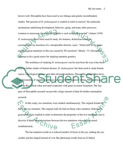 Drosophila Melanogaster Genetics