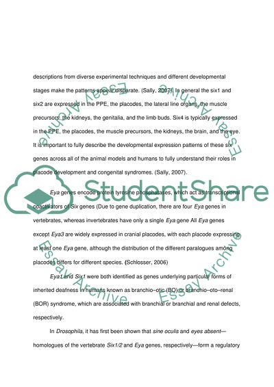 Genesis of Different Cranial Placodes in Vertebrates