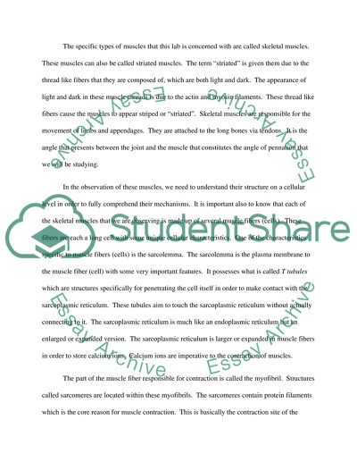 Biological Basis for Human Movement