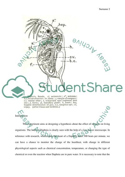 The nicotines effect on daphnia