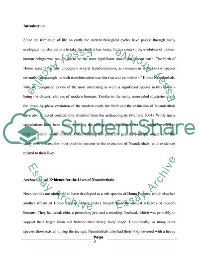 The Archaeological Evidence for the Lives of Neanderthals, and the Reasons for Their Extinction