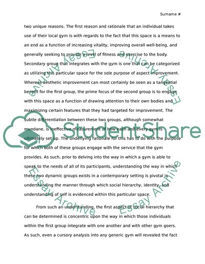 Identity, Social Space and an Analysis of the Average Gym