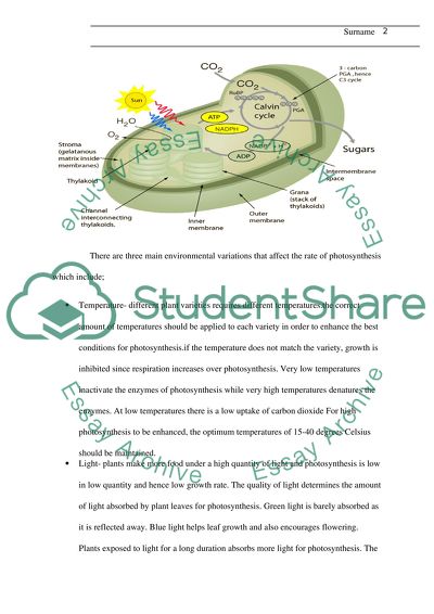 Design your own greenhouse