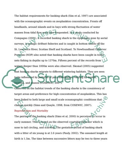 Research on the Basking Shark Forming