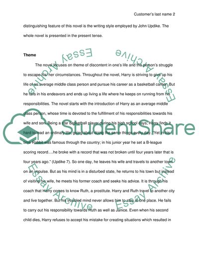 Rabbit run thesis 08 image