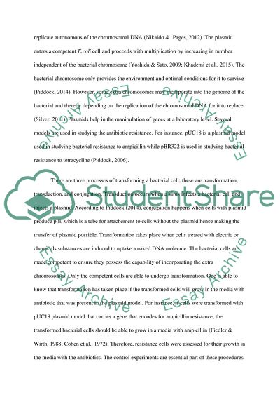 Successful Transformation of Bacterial Cells with Different Plasmid