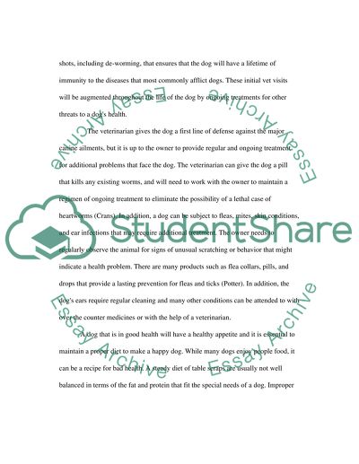 The Rewards For Caring for a Pet