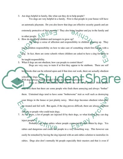 An interview with a small animal expert