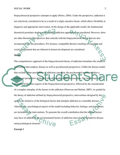 Biopsychosocial Perspective in Addiction Therapy