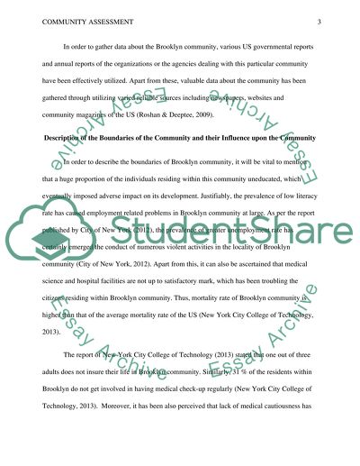 Brooklyn Community Assesment