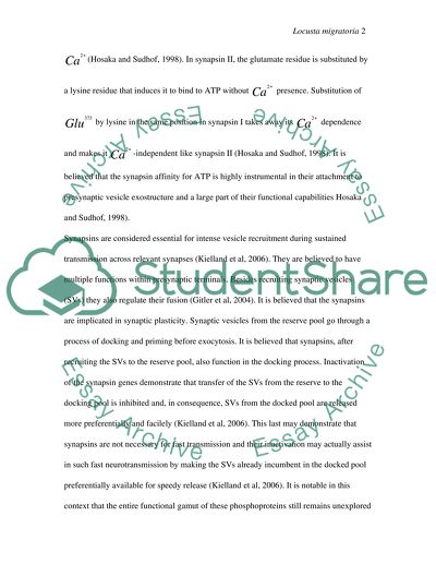 Locust life cycle picture