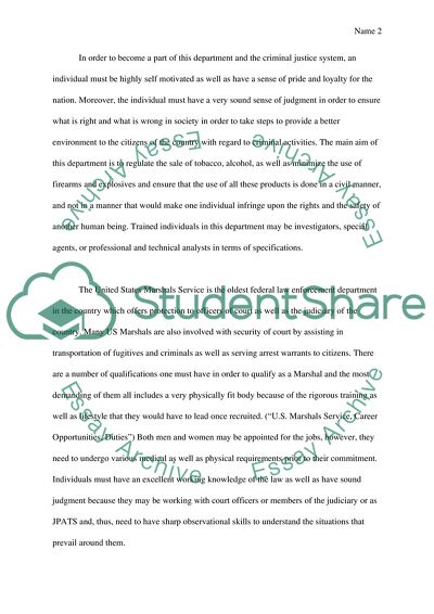 Career Opportunities in the US Criminal Justice System