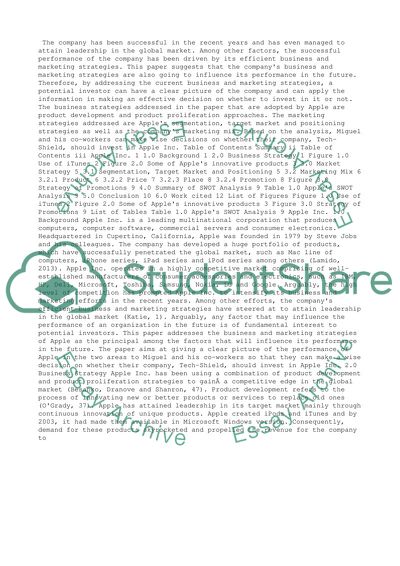 Report on Apple Company