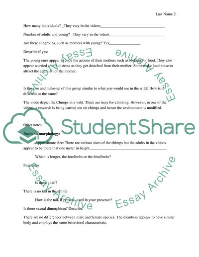 Primate Observation: Chimpanzees. Gorillas, and New World Monkeys