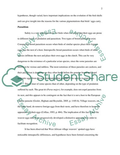 Evolution of Colouration in Bird Eggs