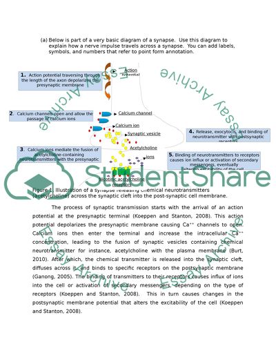 Principle of Physiology