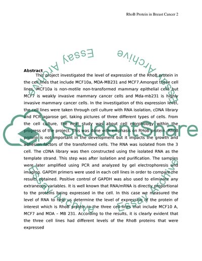 Analyzing for the Expression Level of RhoB Protein in Breast Cancer Cell Lines