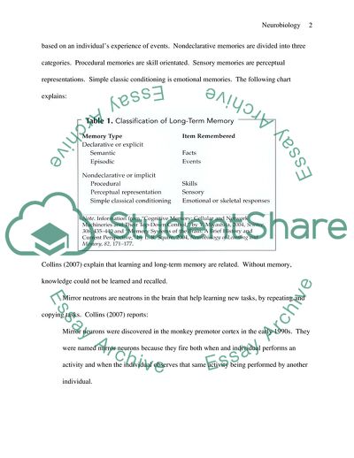 educational neuroscience literature review