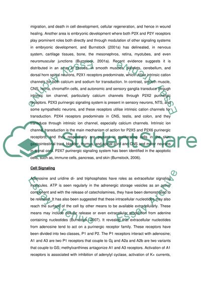 Medicine and Pharmacology2