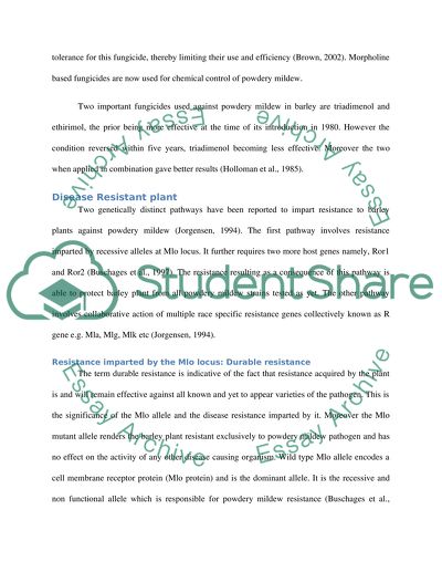 Powdery mildew characteristics picture