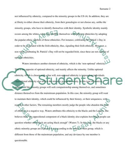 Ethnicity essay