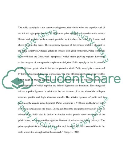 The Pubic Symphysis in Forensic Osteology