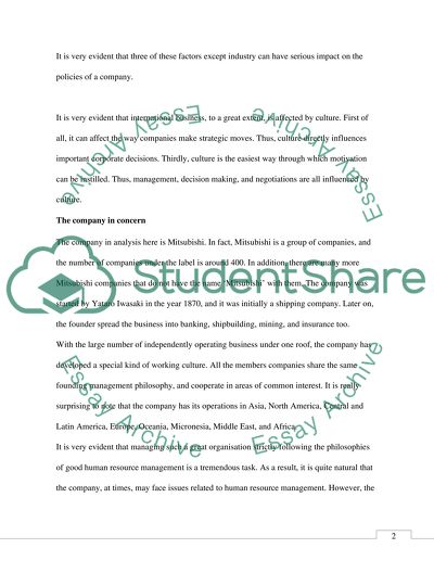 Cultural Issues and Organizations