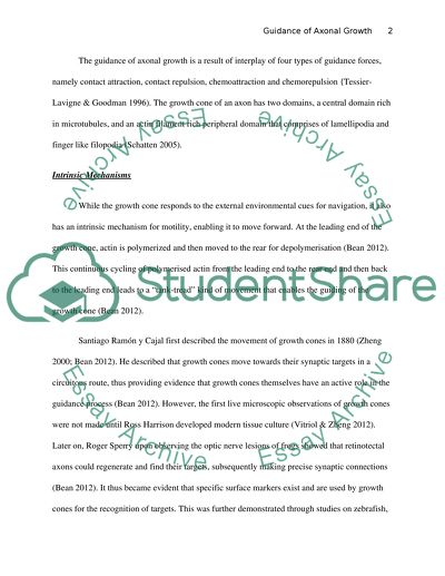 Various Mechanisms Used by the Nervous System to Guide Axonal Growth