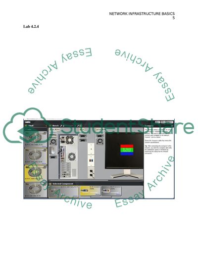 Network Infrastructure Basics