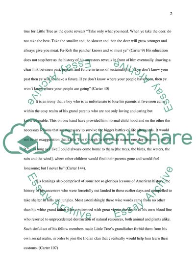 The novel, The Education of Little Tree