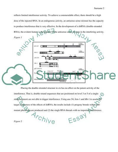 Potent and specific genetic interference by double-stranded RNA in Caenorhabditis elegans