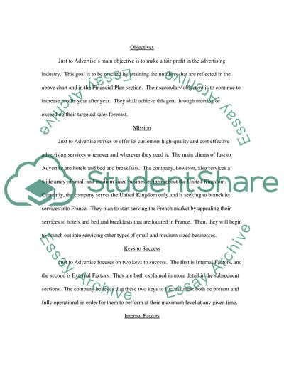 Goals for First Year of Business of Advertising Company