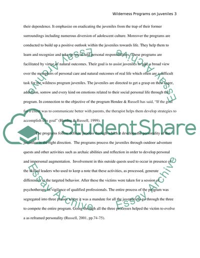 Wilderness programs for juveniles