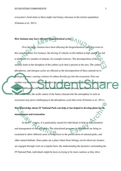 Desert ecosystem essay image