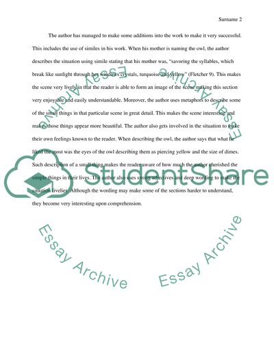 Reading response to The Beautiful City of Tirzah by Harrison Candelaria Fletcher