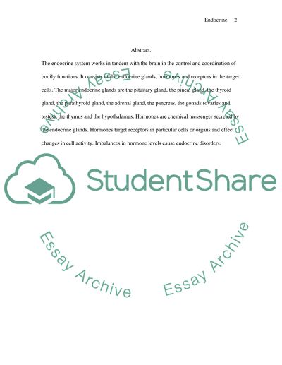 Endocrine System: Facts, Functions