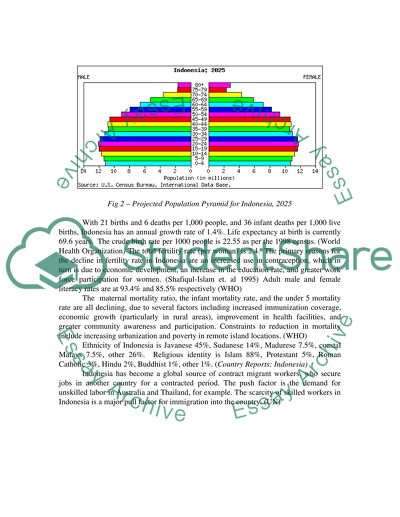 Population Pyramid for Indonesia