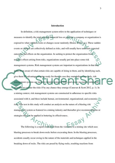 Critical Analysis of a Risk Management System