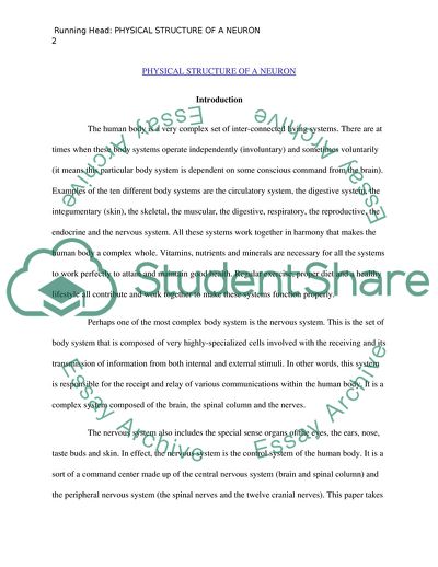 Physical Structure of a Neuron
