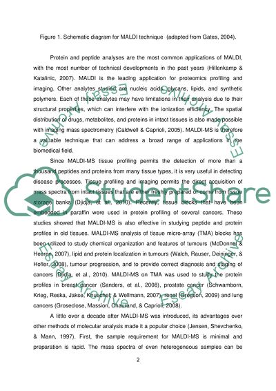 Review of the Maldi-MS Technique