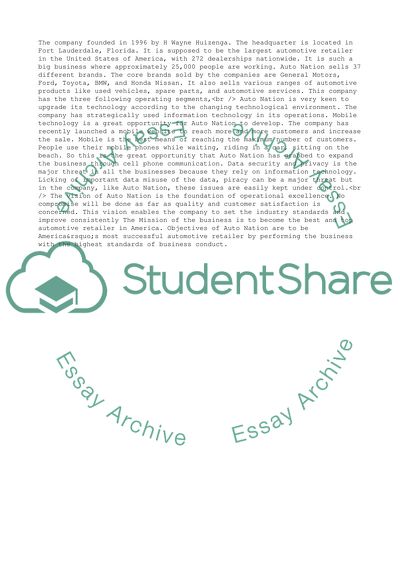 Business Strategy of Auto Nation Company