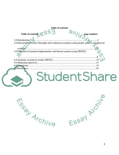 Marketing Audit and Marketing Objectives for Holiday Inn