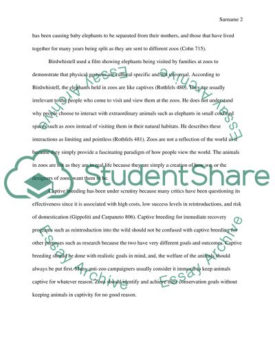 The Issue of Elephants in Captivity