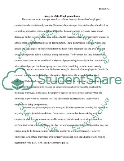 Analysis of the Employment Laws