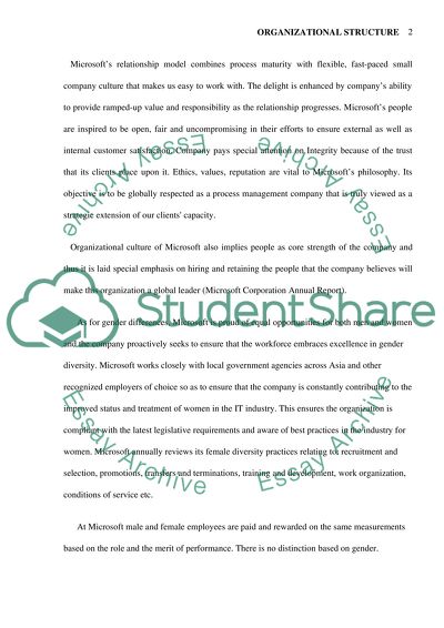 Analysis of Multinational Computer Technology Corporation Microsoft