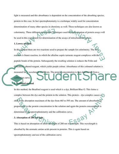 The Mitochondrial Protein