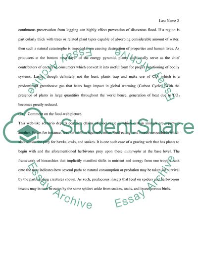 Ways in which Plants in Plants Provide for My Life