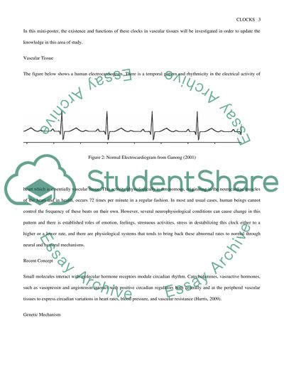 Clocks in the Vasculature